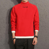 Simple Design Turtle Lantern Sleeve Hoodies